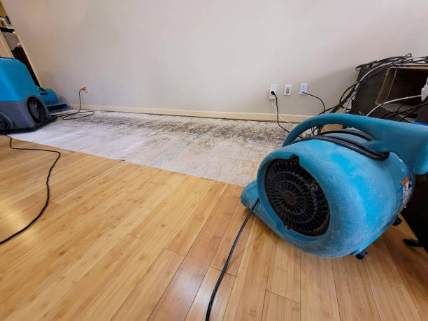 Professional Structural Drying technician working in Winterville, NC